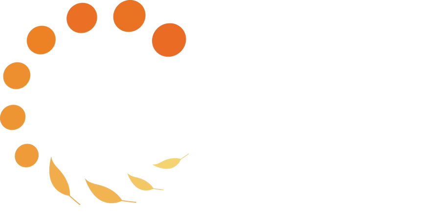 Apolo Solar · Energia Renovável